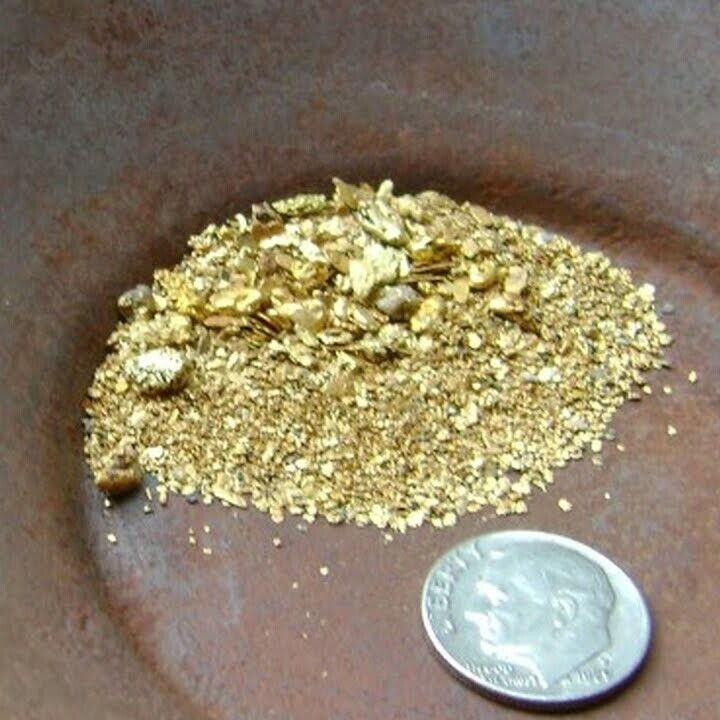 Prospector's Pick Panning Perfection Top Quality Gold Paydirt for Nugget Hunters