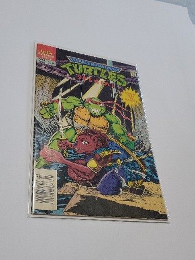 Teenage Mutant Ninja Turtles Special #10 First Printing Comic  (VF/VF+)  RARE