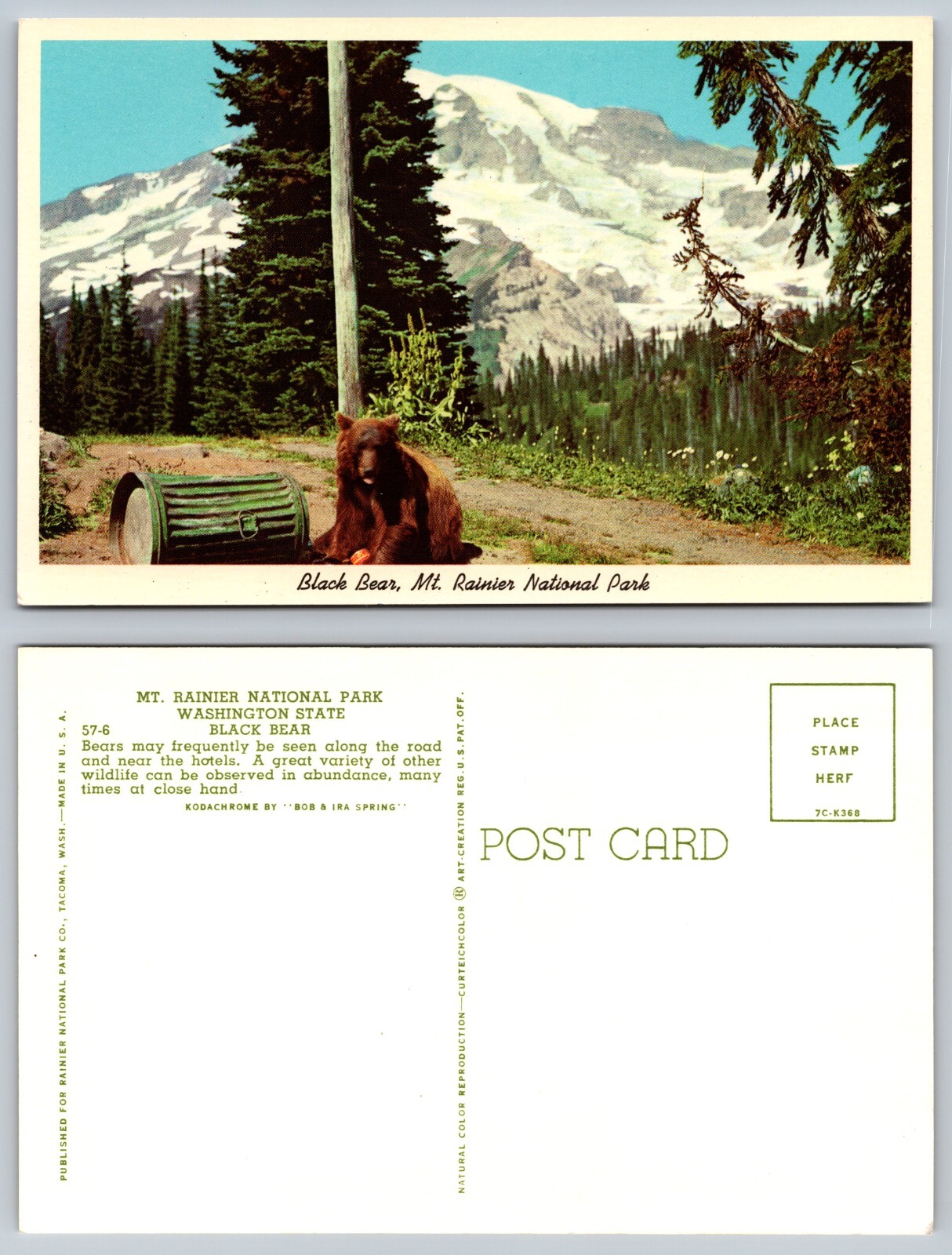 Washington WA Mount Rainier National Park Black Bear Postcard
