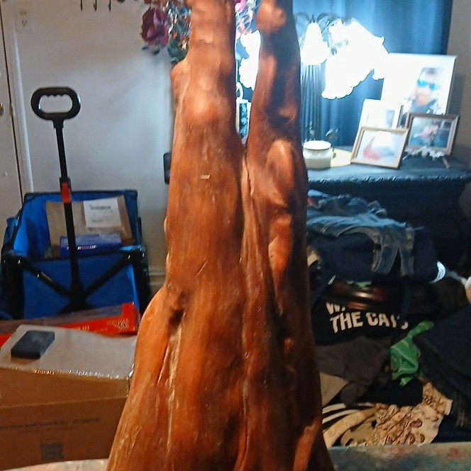 Vintage Large 23.5” Cypress Knee Wood Sculpture Abstract Double Peak Art Rustic