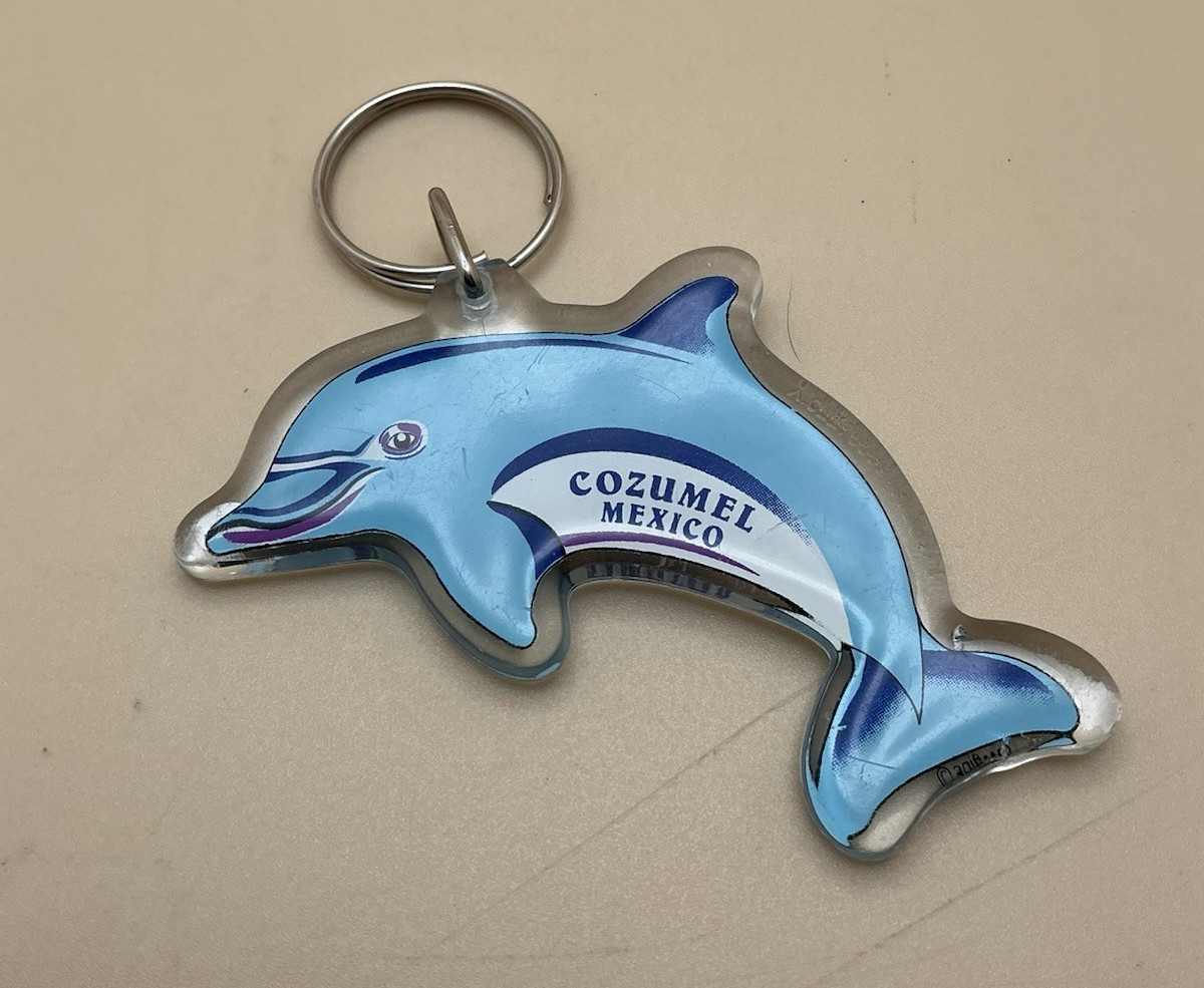 Vintage Cozumel Mexico, Blue Dolphin Keychain Vintage Cozumel Mexico, Blue Dolphin Keychain
