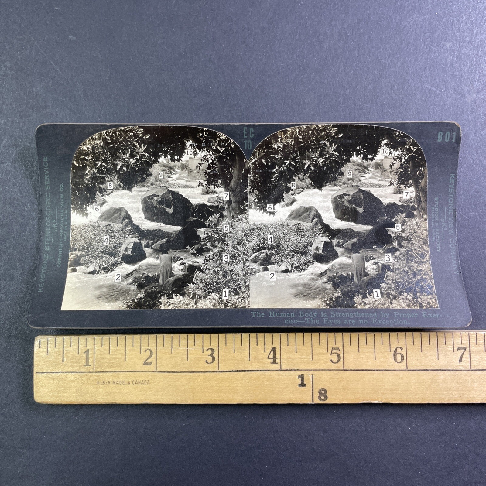 Optometry Eye Training Stereoview Keystone View Co. EC 10 1920s Curved Mount Optometry Eye Training Stereoview Keystone View Co. EC 10 1920s Curved Mount