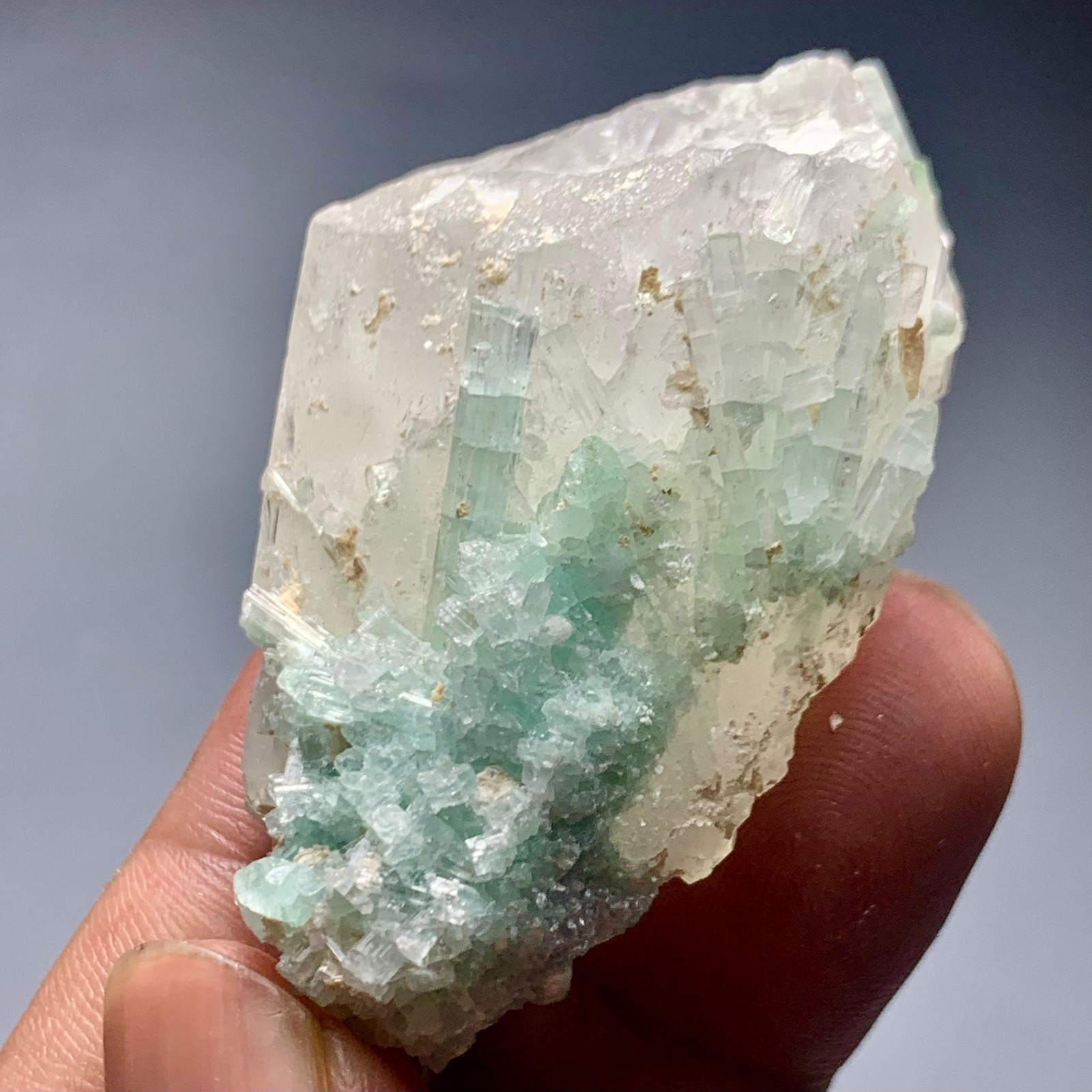 310 CT Terminated Natural Tourmaline Crystals Bunch with Quartz From Afghanistan
