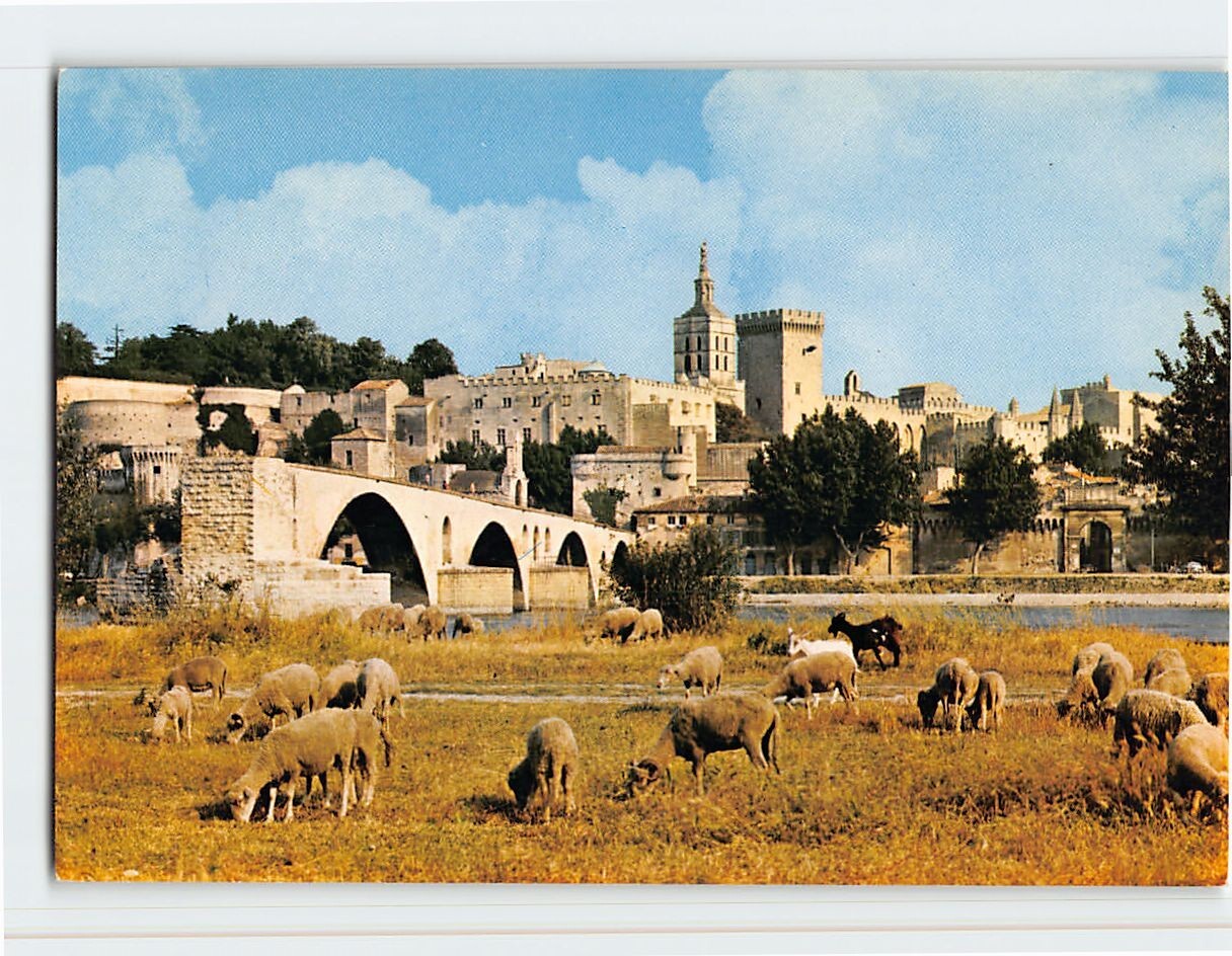 Postcard Pont d'Avignon et Palais des Papes Avignon France