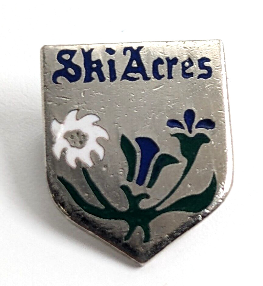 Ski Acres (1948-1997) Summit Central Resort Snoqualmie WA Pin Badge Souvenir VTG