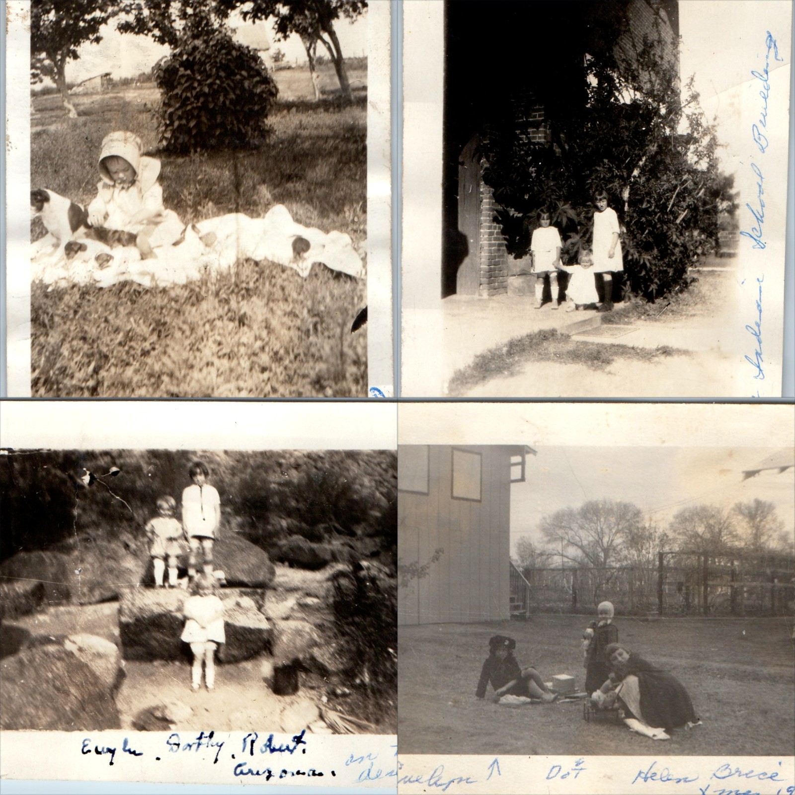 x4 LOT 1919-1923 Oklahoma City, OK Phoenix AZ Children Snapshot Photos Puppies x4 LOT 1919-1923 Oklahoma City, OK Phoenix AZ Children Snapshot Photos Puppies