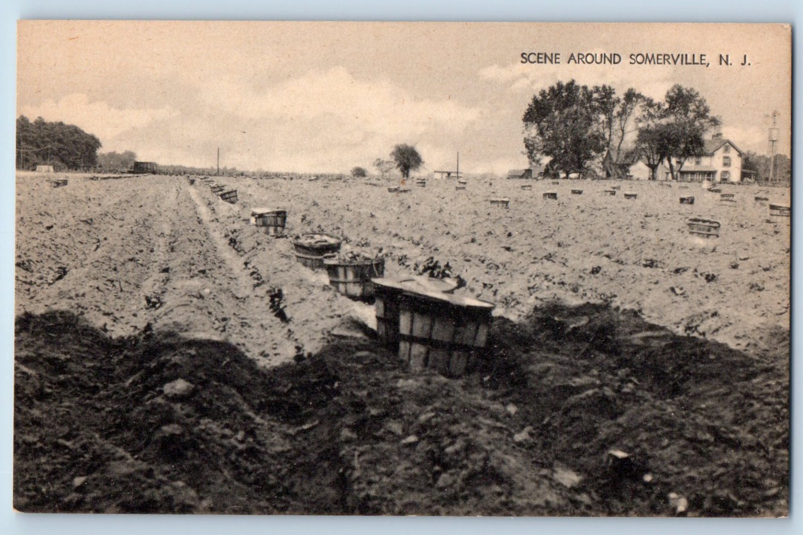 New Jersey NJ Postcard Scene Around Sommerville Farmland Trees Scenery Vintage