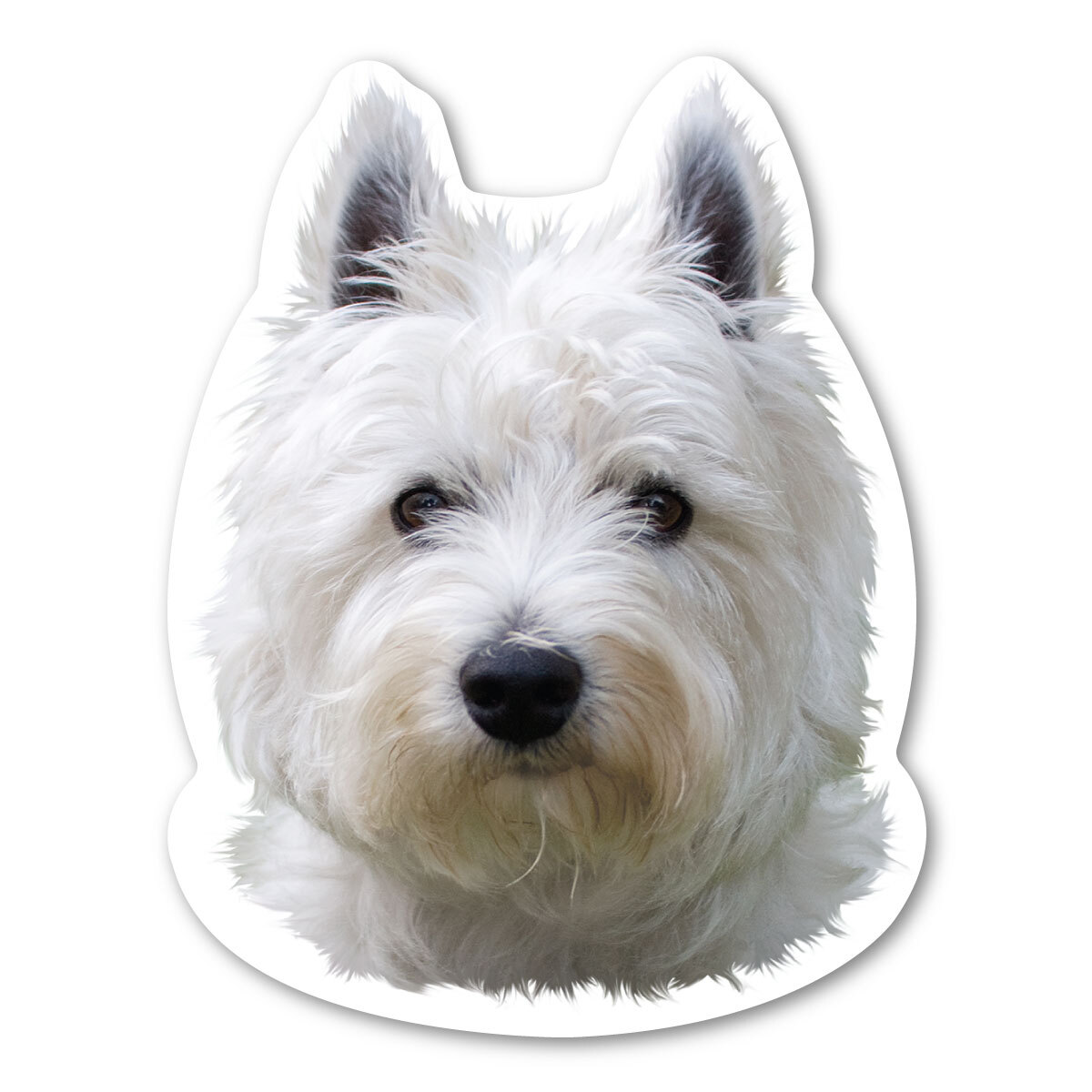 West Highland White Terrier Magnet