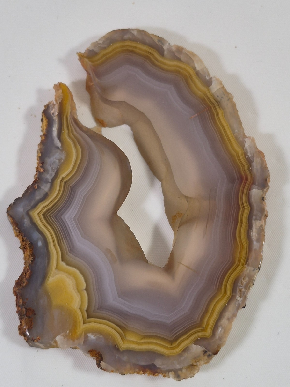 Polished COYAMITO MEXICAN AGATE Display Specimen *Parallax * 3 x 2