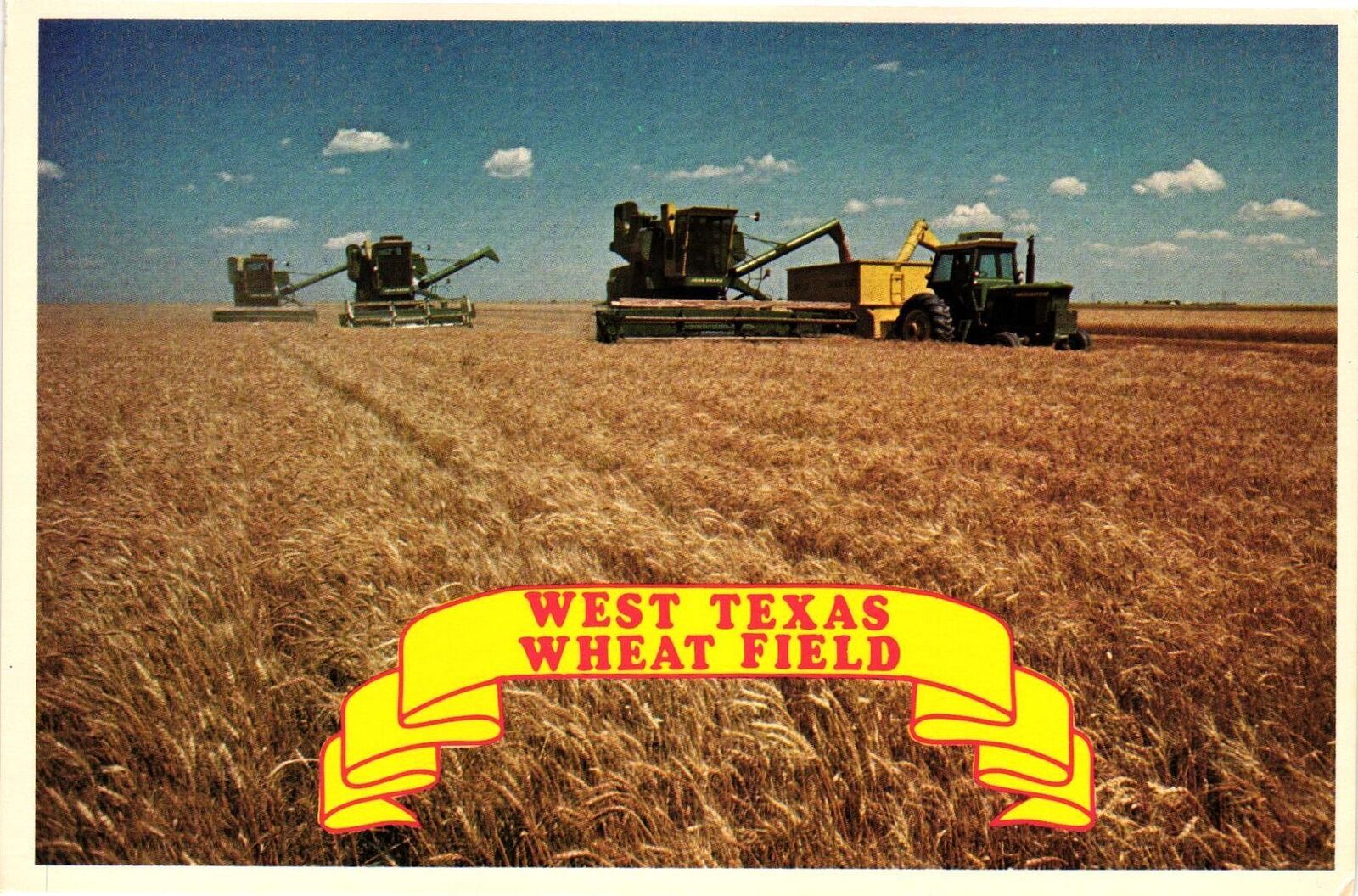 Vintage Postcard 4x6- WHEAT FIELD, AMARILLO, TX.