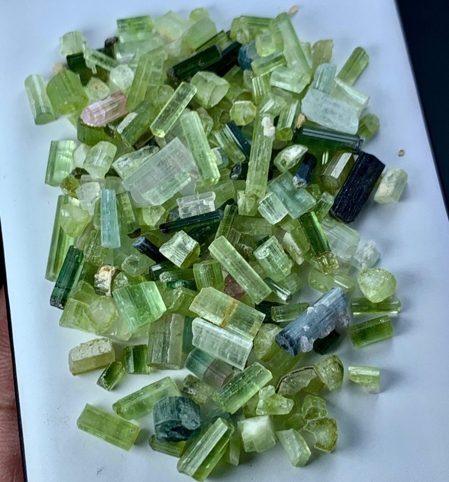 90 CT Terminated Natural Mix Coulors Tourmaline Crystals lot From Afghanistan