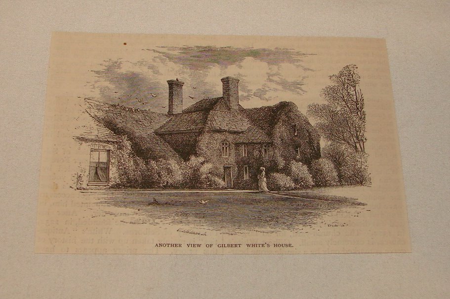 1877 magazine engraving ~ GILBERT WHITE\'S HOUSE, Selborne, UK