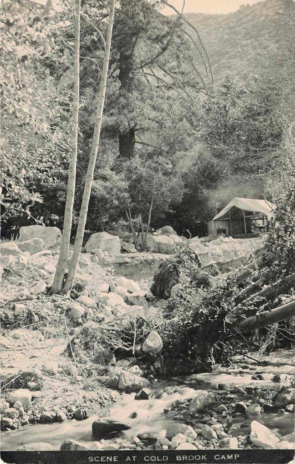 Cold Brook Camp Rustic Tent Scene San Gabriel Mountains RPPC Postcard