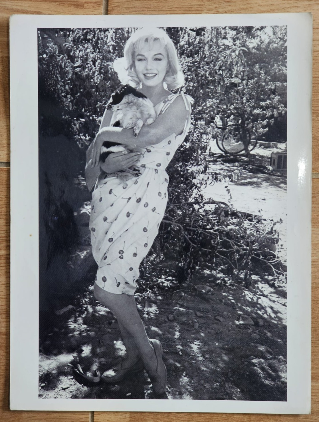1980s MARILYN MONROE STUNNING PORTRAIT CHEESECAKE POSTER ORIGINAL Photo XXL