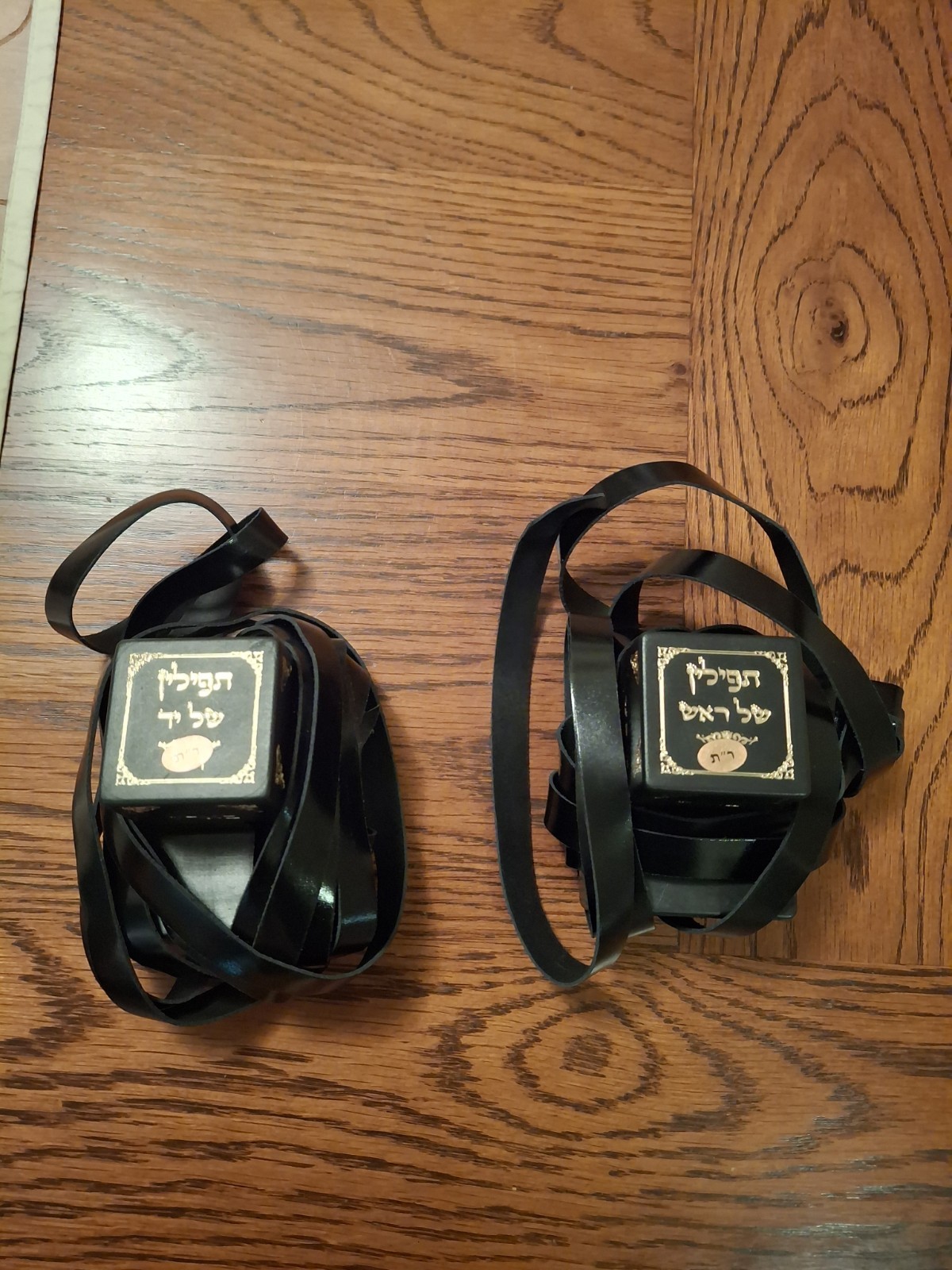 Kosher Large Chabad Rabbenu Tam Tefillin - Mehudar - Beautiful