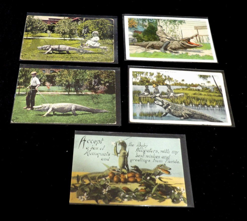 10 Postcard Lot Alligators Children with Carts Great Lot