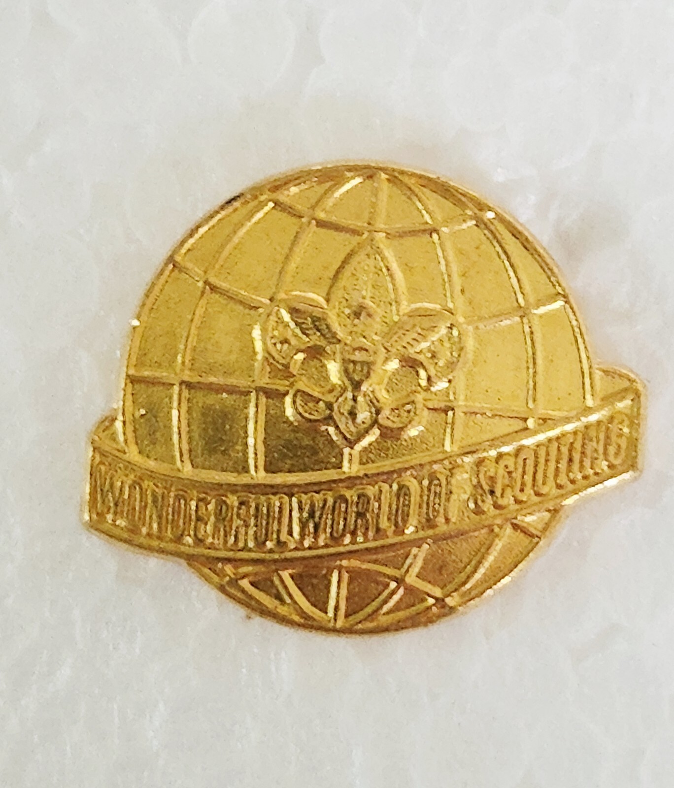 Boy Scouts Wonderful World of Scouting Annual Program Theme 1977 Lapel Pin BSA