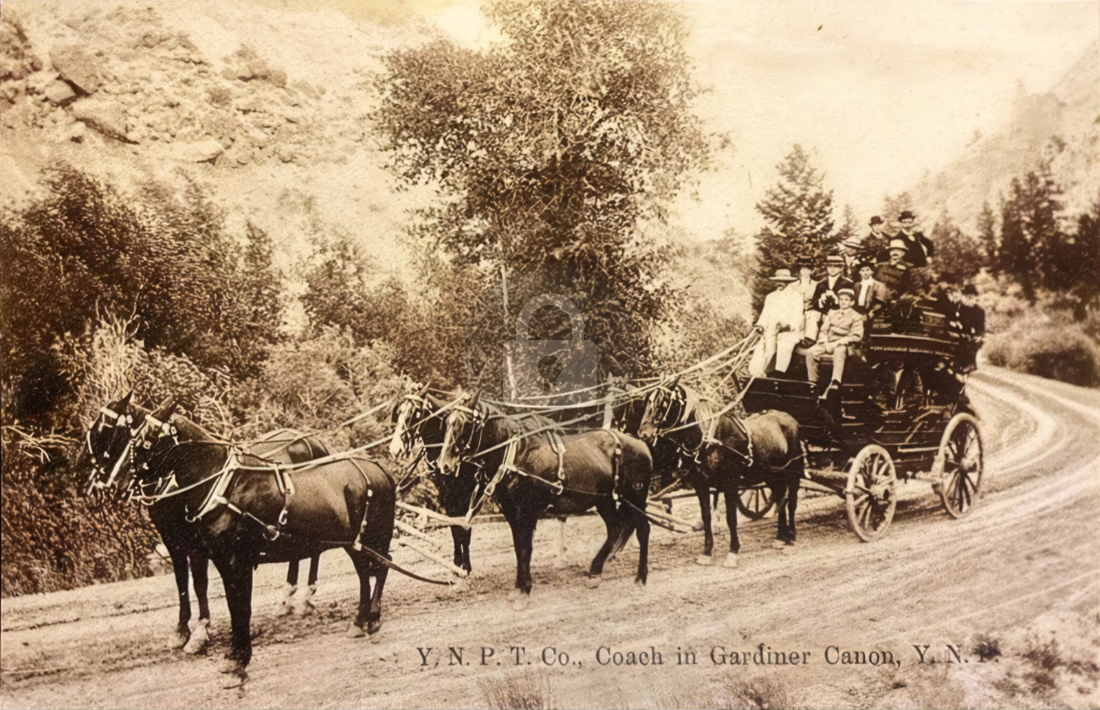 c1910 Yellowstone Transportation Co. German RPPC Photo Postcard COPY c1910 Yellowstone Transportation Co. German RPPC Photo Postcard COPY