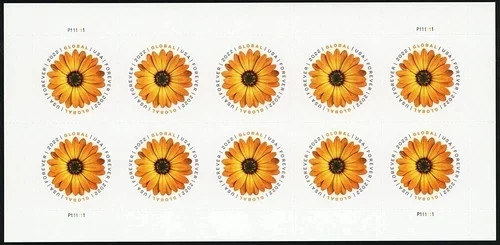 USPS 2022 Stamps Global Forever African Daisy -MNH- (5sheet=50pcs)