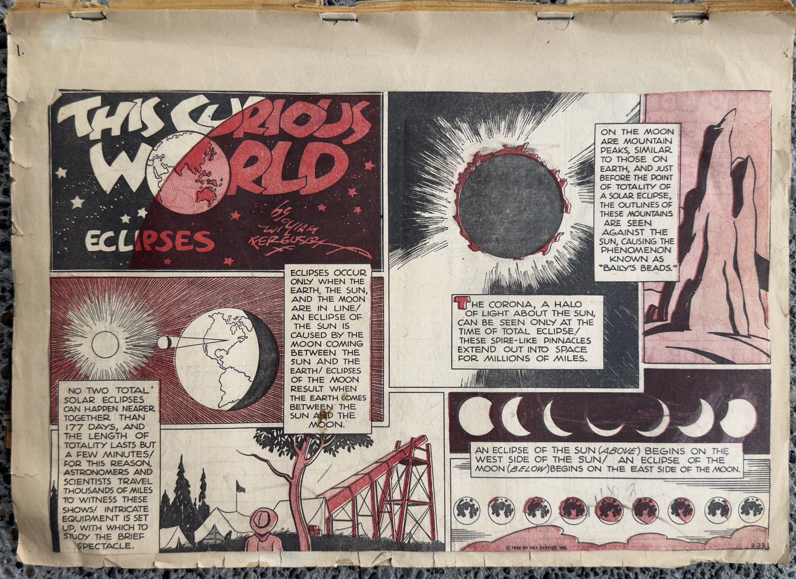 1930s This Curious World William Ferguson Newspaper Comics Scrapbook 50+ 