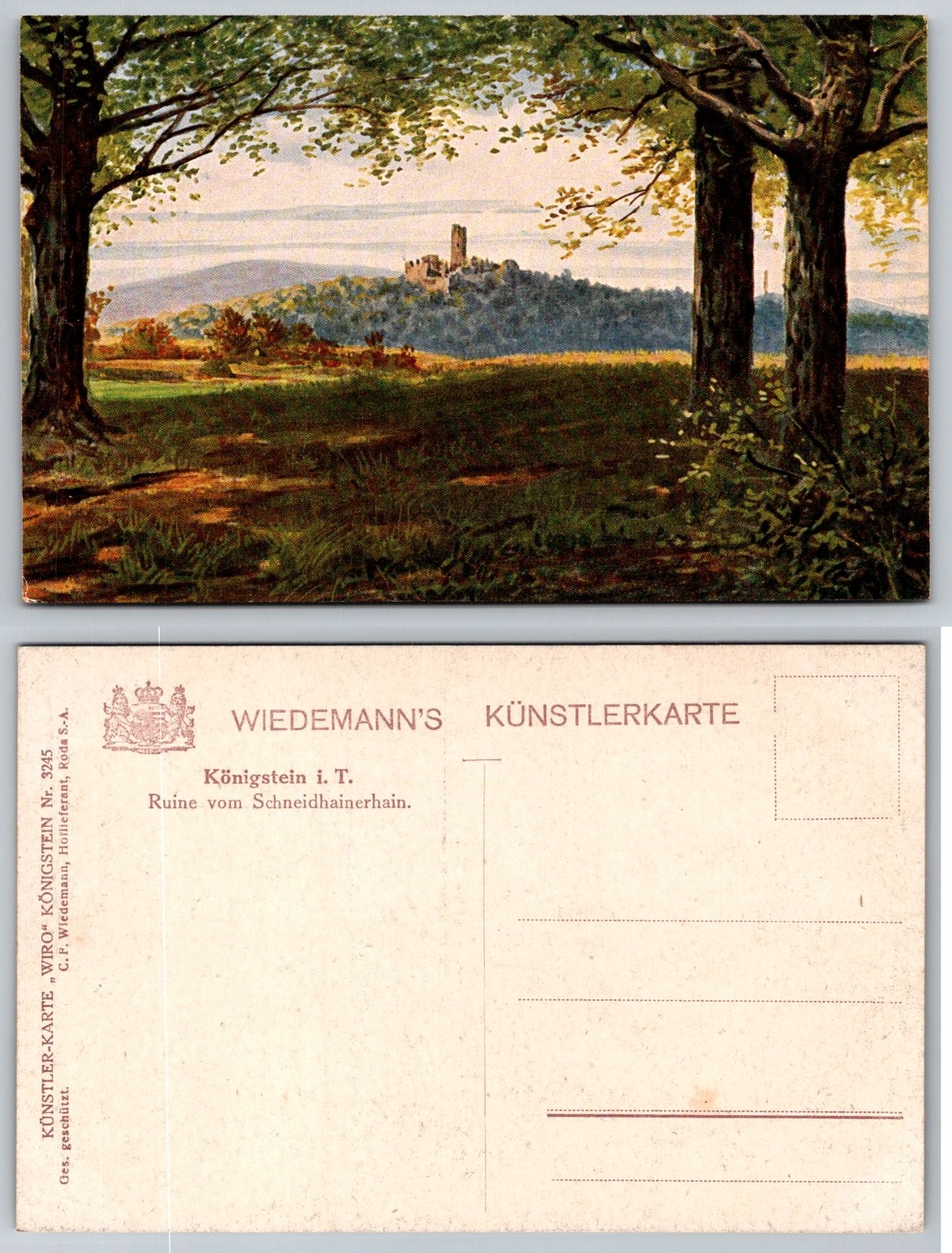 Königstein im Taunus Ruine vom Schneidhainerhain Wiedemann Postcard