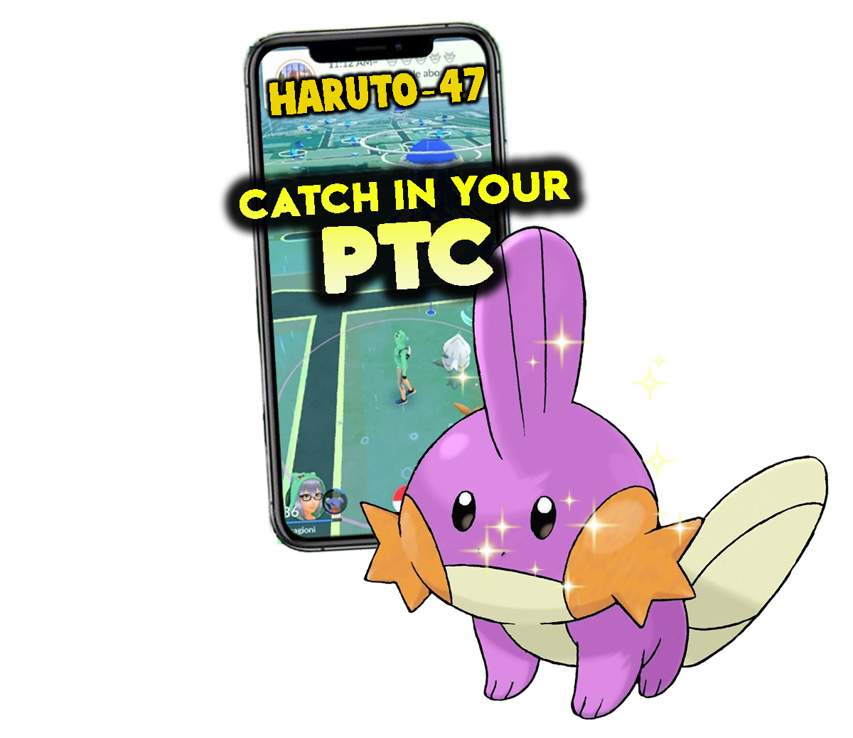 Pokemon Shiny Mudkip Catch in your P T C