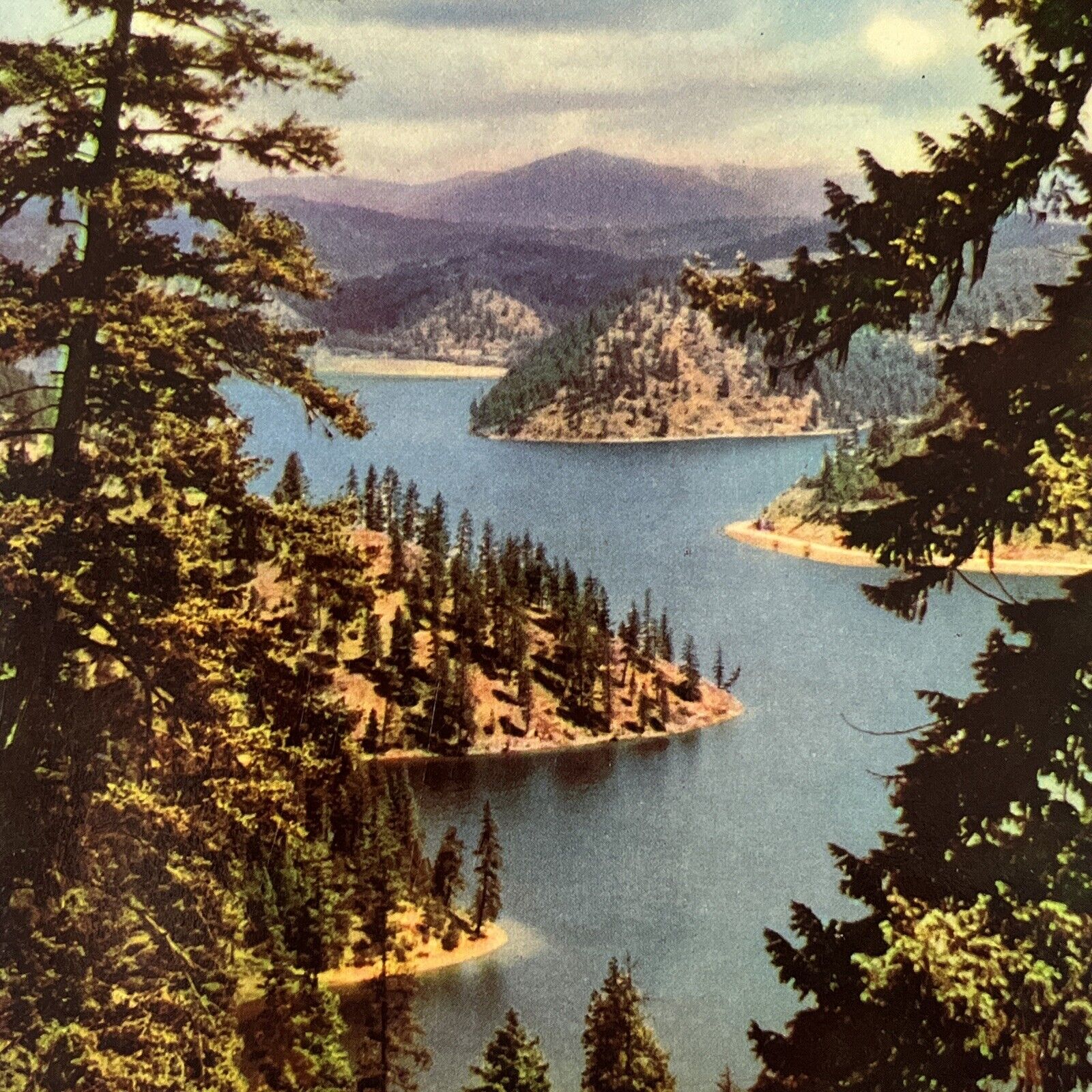 1941 Vintage Postcard Washington Union Oil Company Nostalgic Tourist Novelty ⭐️