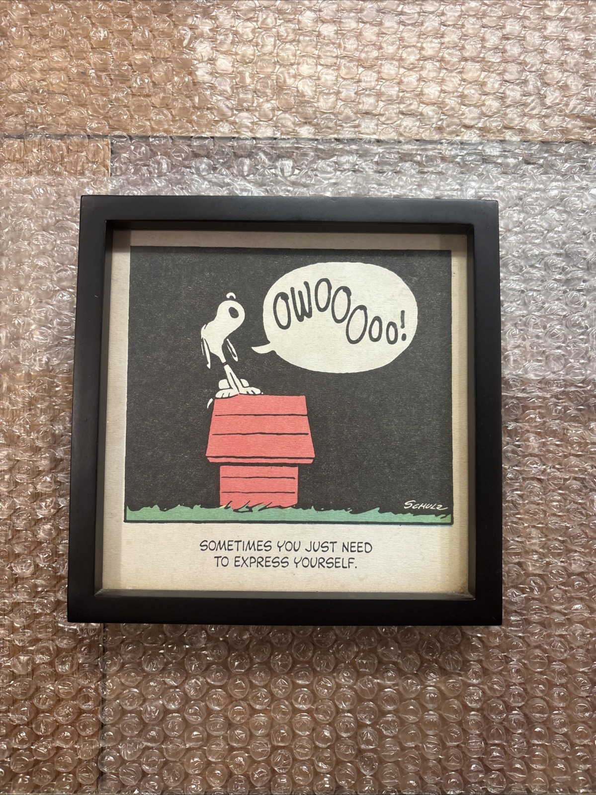 RARE Vintage Hallmark Snoopy Peanuts comic strip framed Artwork June 2014