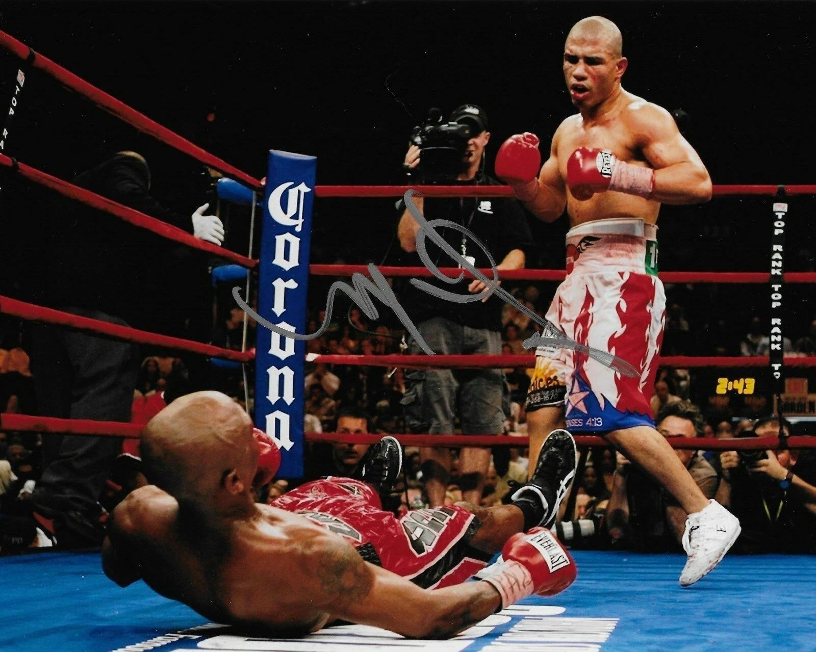 pt252 Miguel Cotto the Boxing Champ \ pt252 Miguel Cotto the Boxing Champ \