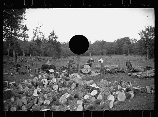 Photo:1930s Logging Crew Cutting Piling Logs in Forest Landscape
