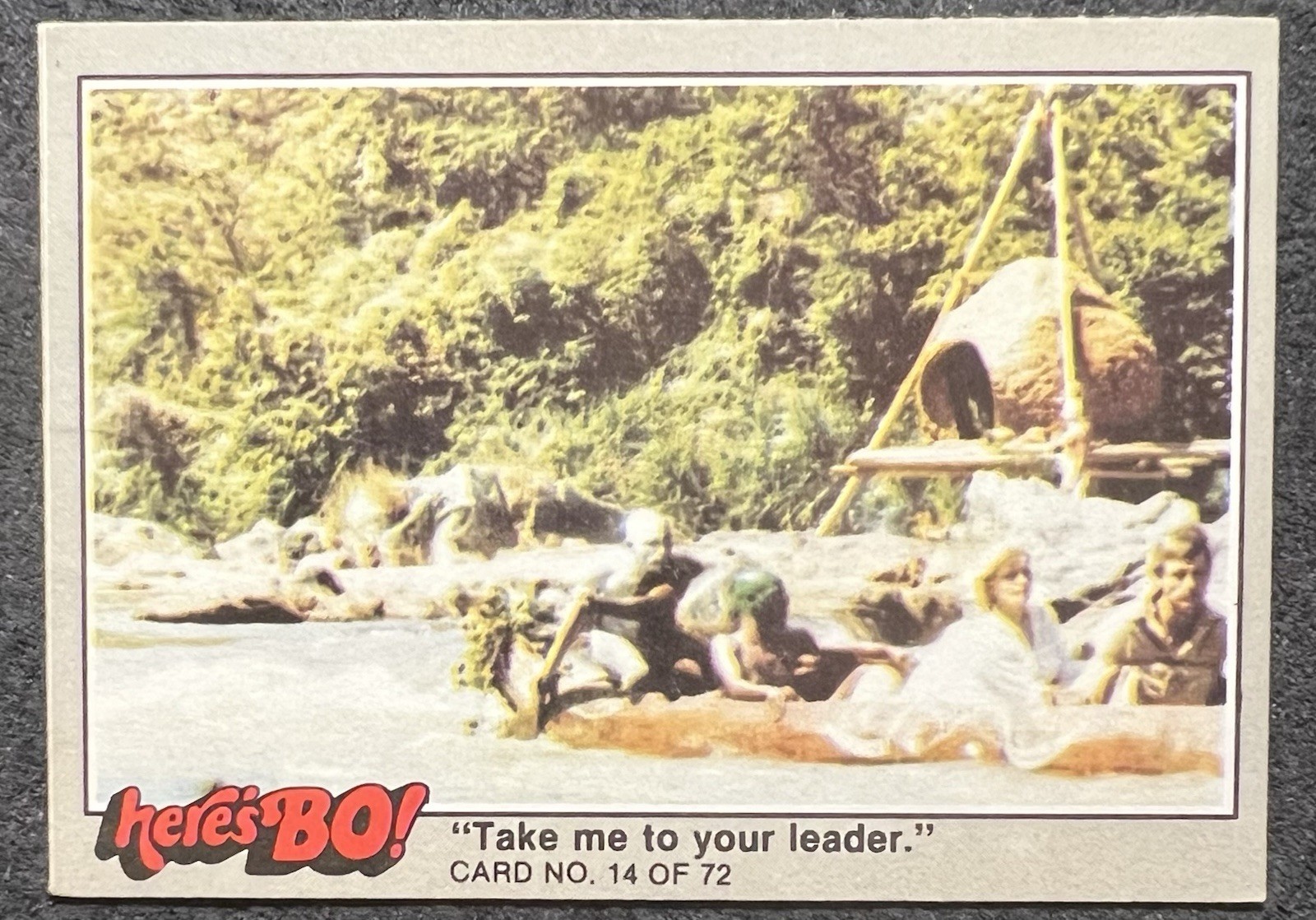 1981 FLEER THE LIFE STORY OF BO DEREK #14 LITE CREASE WRINKLES
