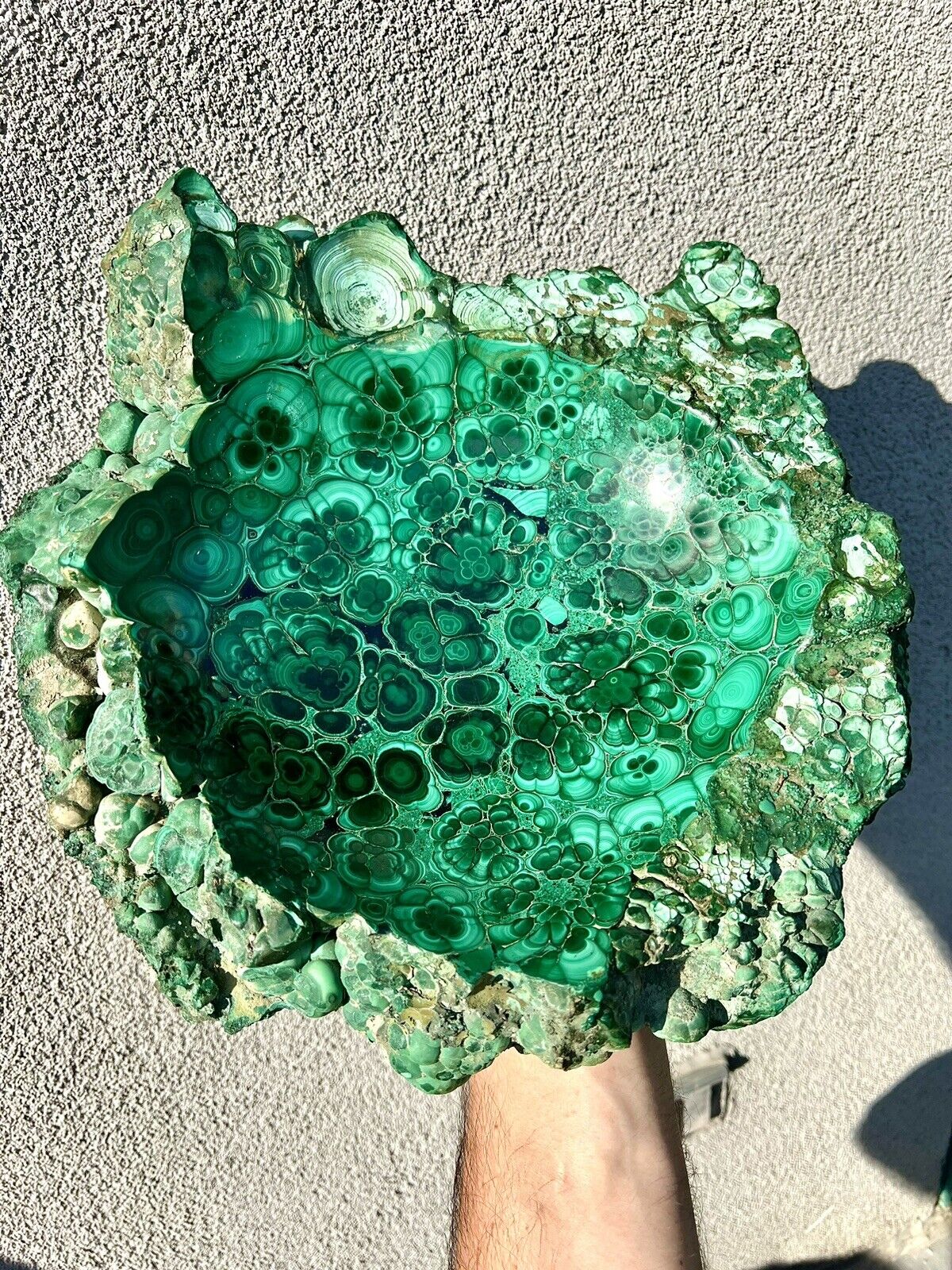25 Pound: Malachite Plume Polished / Rough Bowl from DRC, Africa