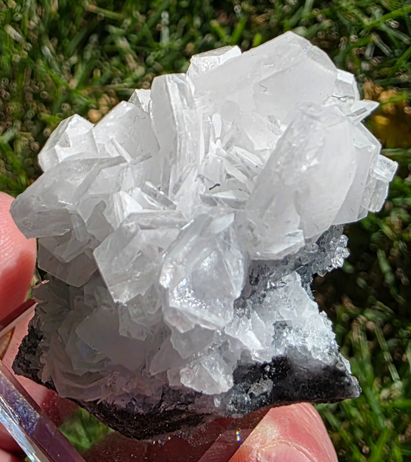 UV Reactive Petal Rose Calcite Crystal China 44g 2\