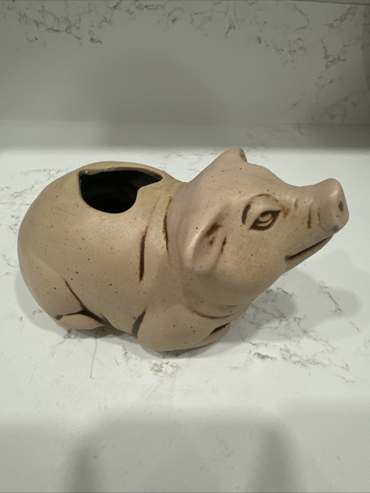 Small Ceramic Pottery Pig Planter