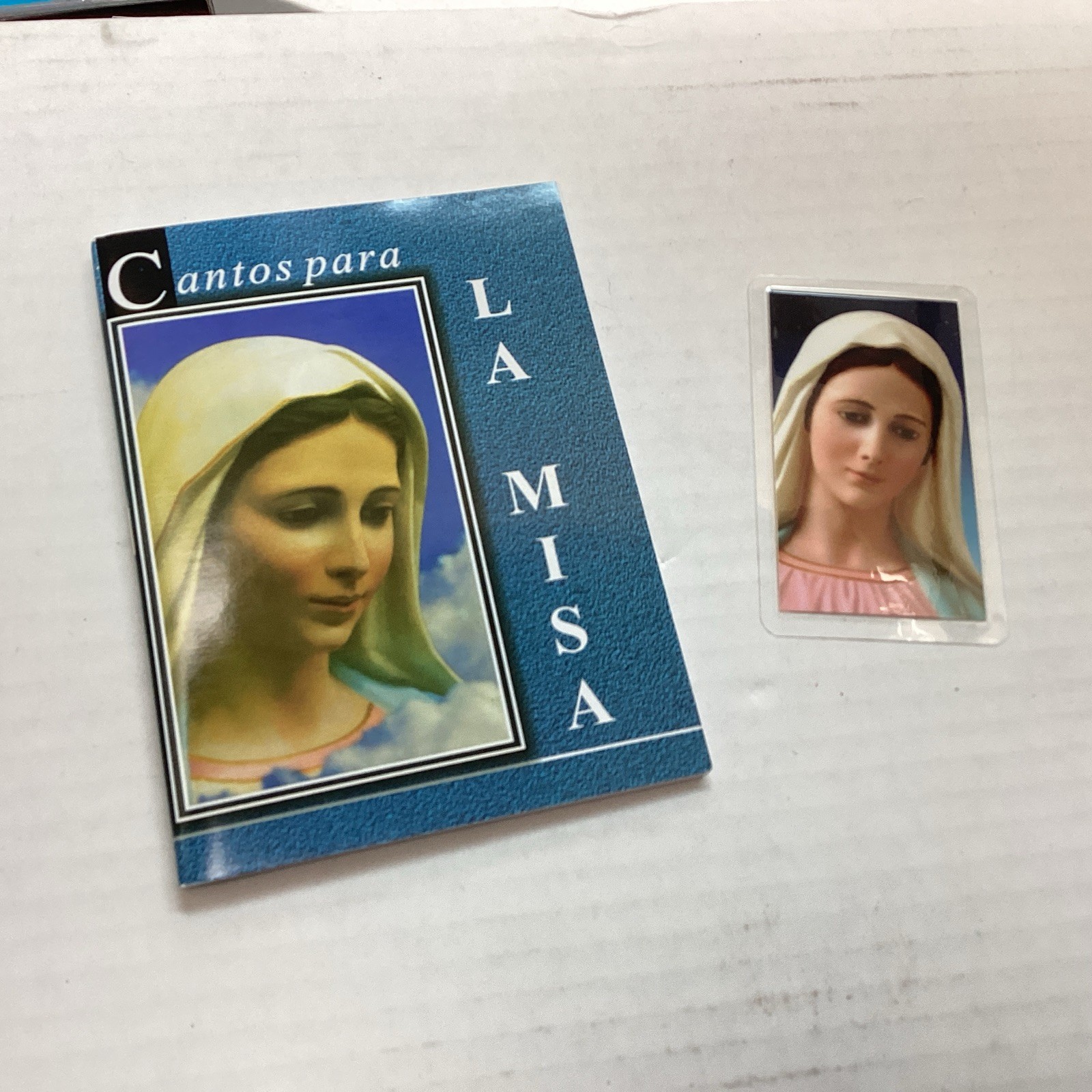CANTOS PARA LA MISA CORONILLA FAVORS PROTECTION PRAYERS MIRACLES MASS SONGS BOOK CANTOS PARA LA MISA CORONILLA FAVORS PROTECTION PRAYERS MIRACLES MASS SONGS BOOK