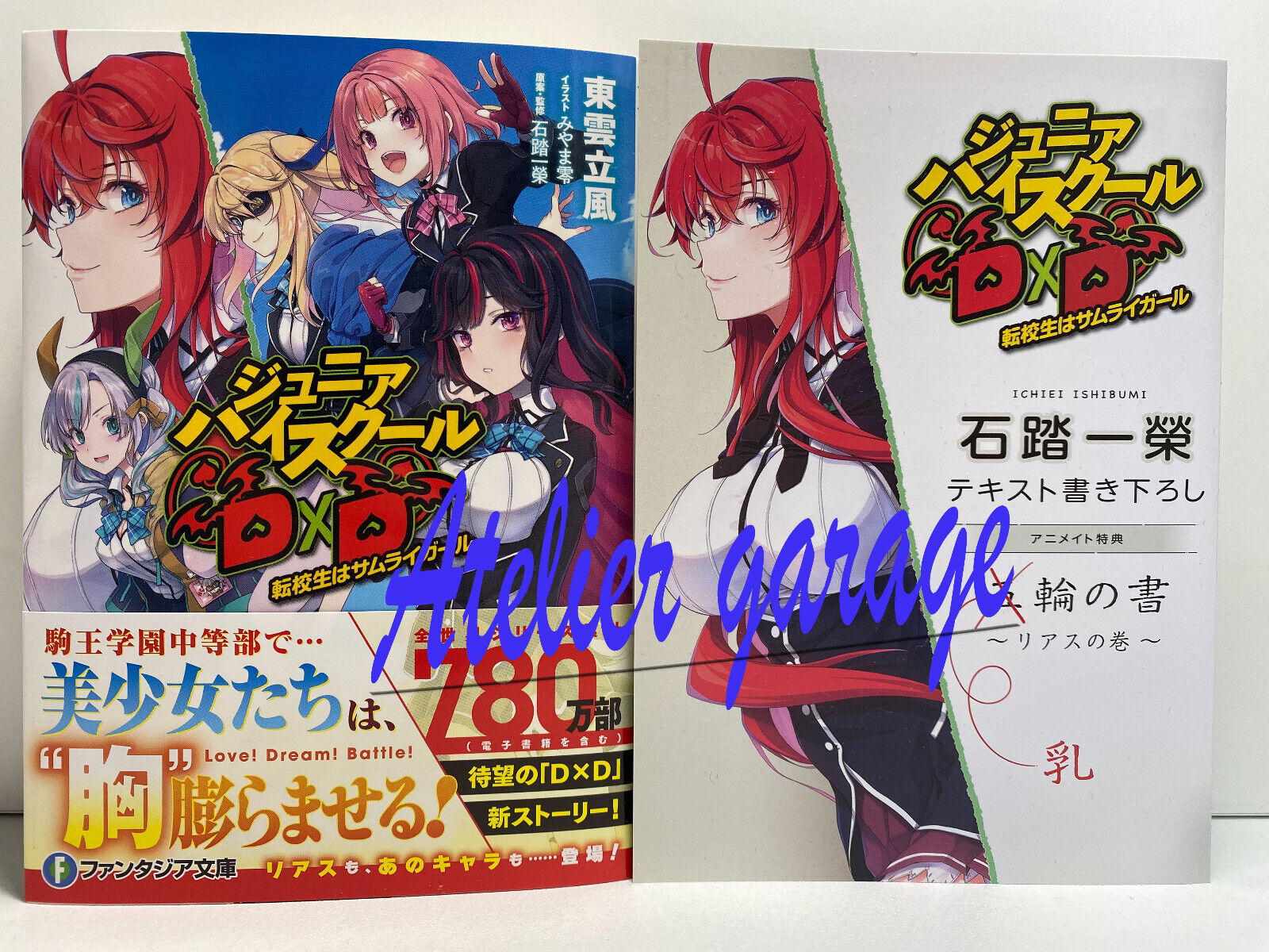 New Junior High School DxD Vol.1 + Extra leaflet Rias Set Japanese Novel D×D
