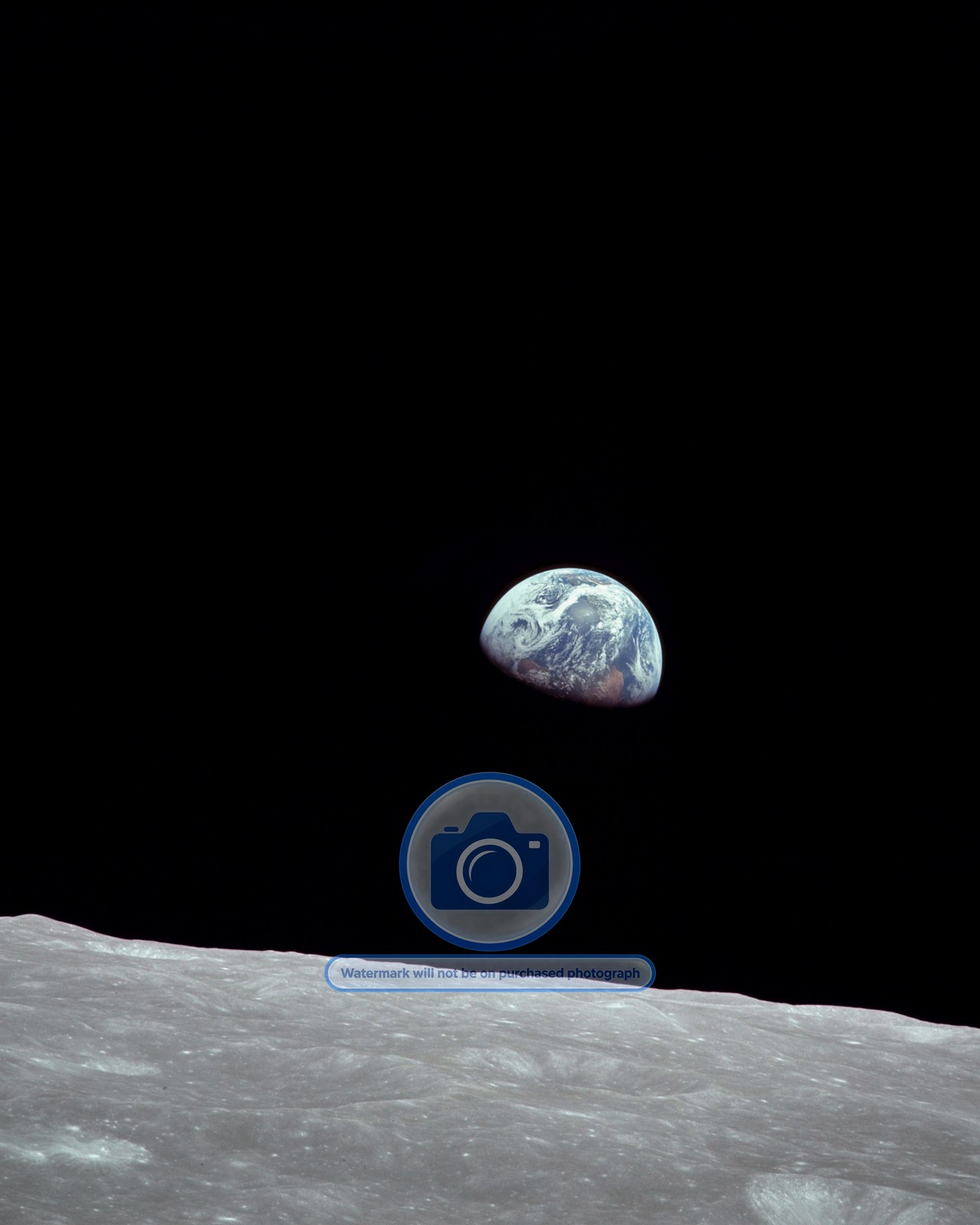 APOLLO 8 EARTHRISE FROM THE MOON 8X10 NASA PHOTO