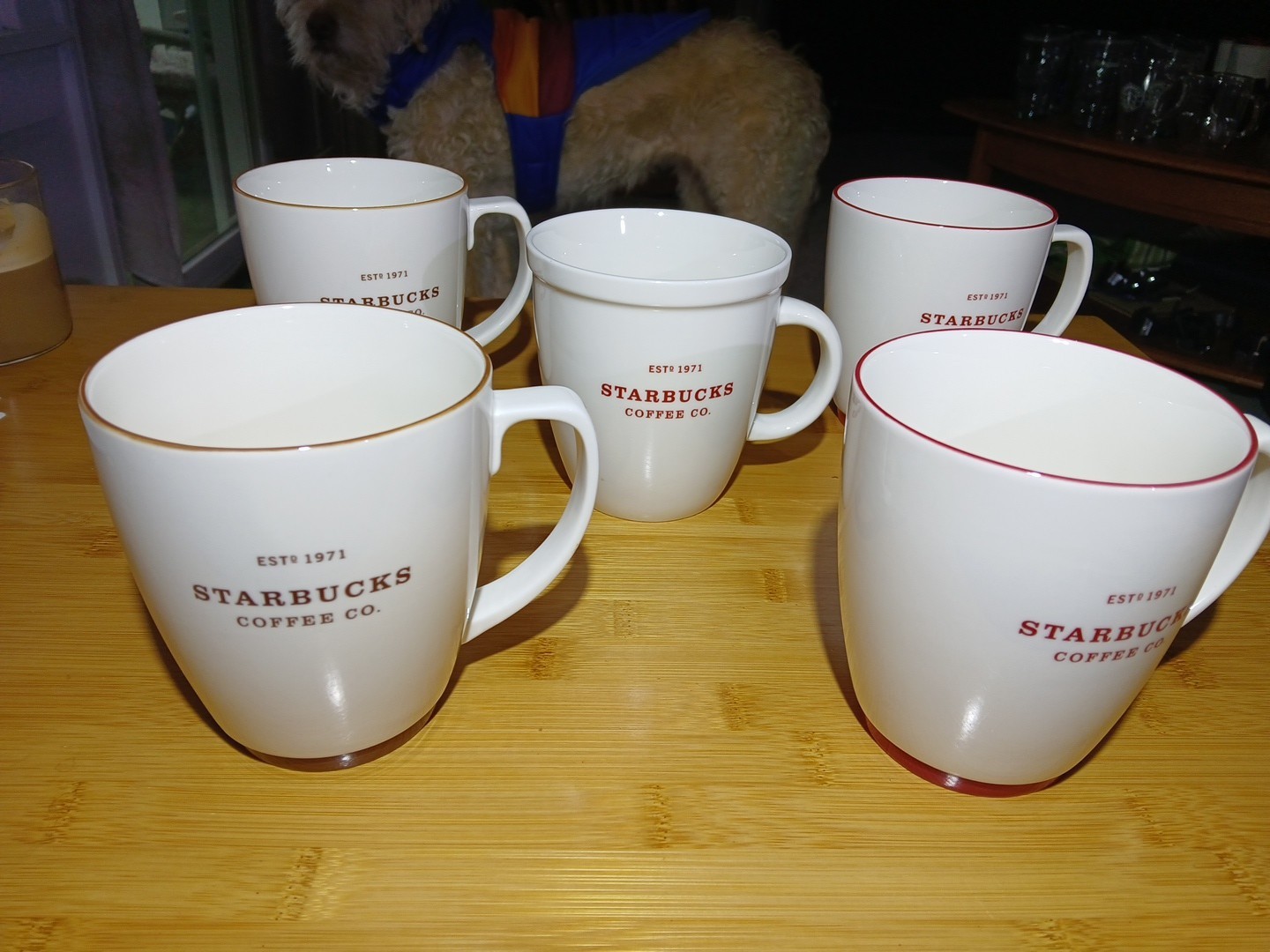 Starbucks Est 1971 Large CUP 2006/7   Brand New stored for 20 years