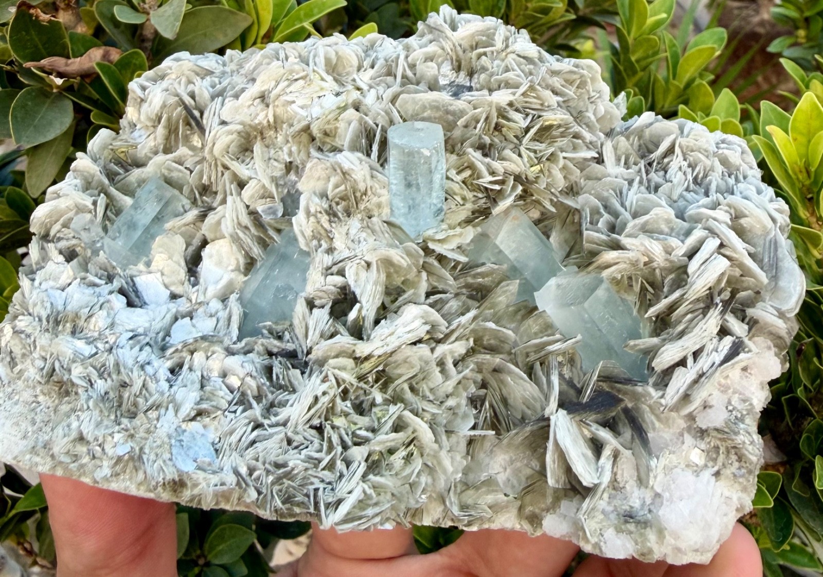 Natural Aquamarine combine Muscovite crystal specimen mineral
