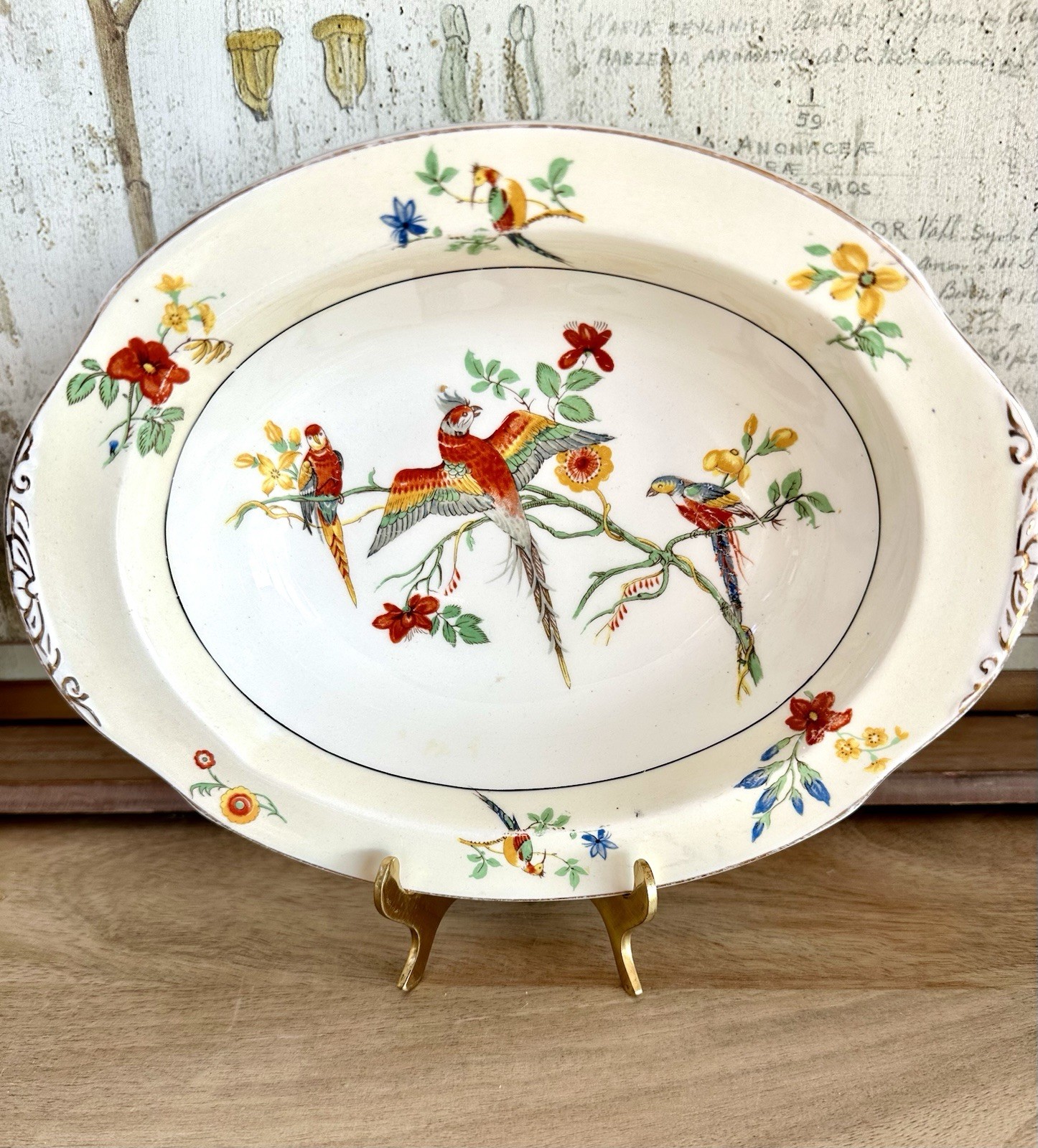 Antique Oval Vegetable Bowl in“ The Gay Macaw” Pattern, W.H. Grindley, England