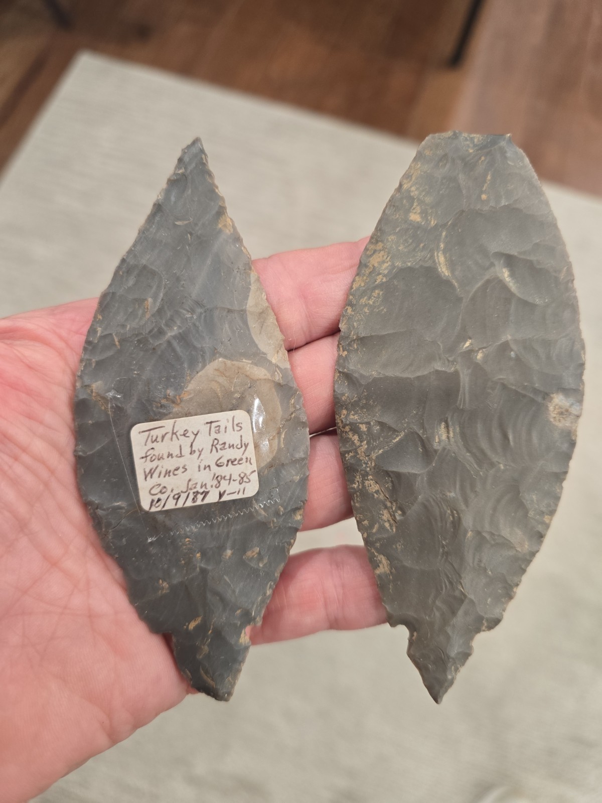 Pair Of Killer Genuine Turkeytail Points