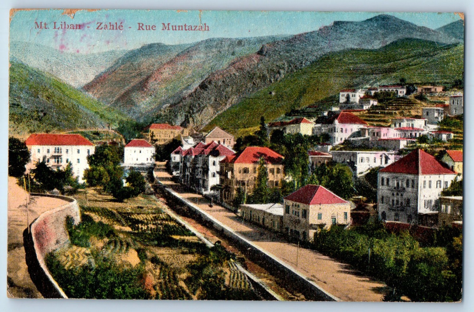 Beqaa Governorate Lebanon Postcard Mount Liban Zahle Rue Muntazah c1910