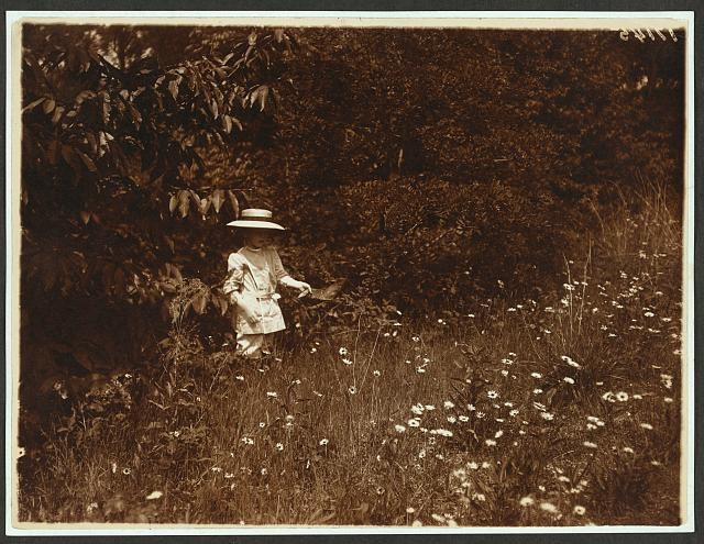 Photo:Oyster Bay New York Quentin Roosevelt 1904 Daisies at Sagamore Hill