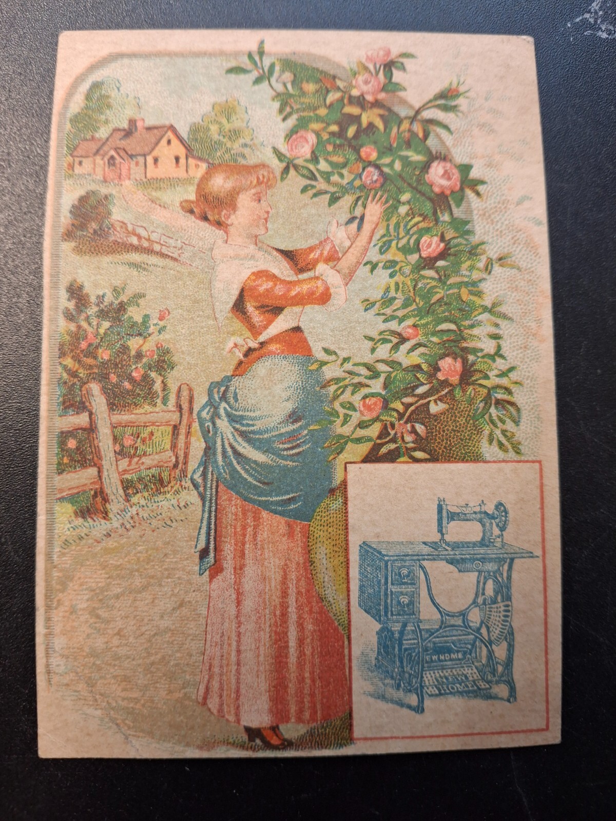 Victorian Trade Card,  Sewing Machine Lady Picking Roses