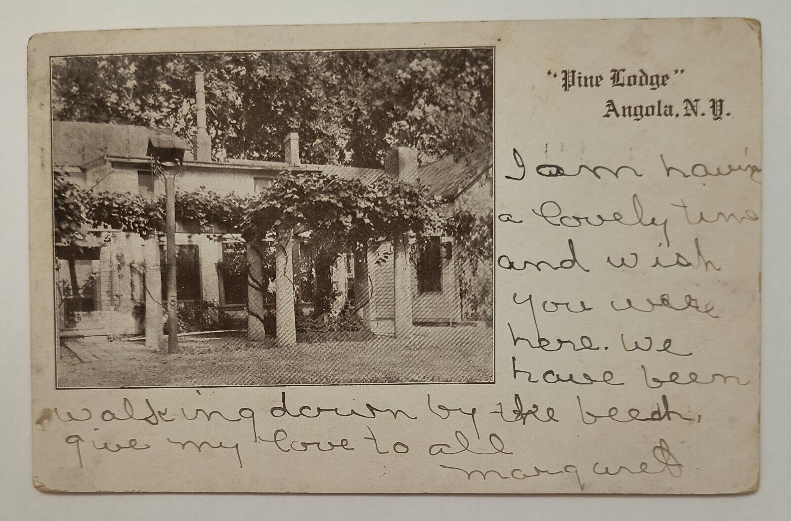 Angola NY New York View Of Pine Lodge Vintage 1907 Postcard L1
