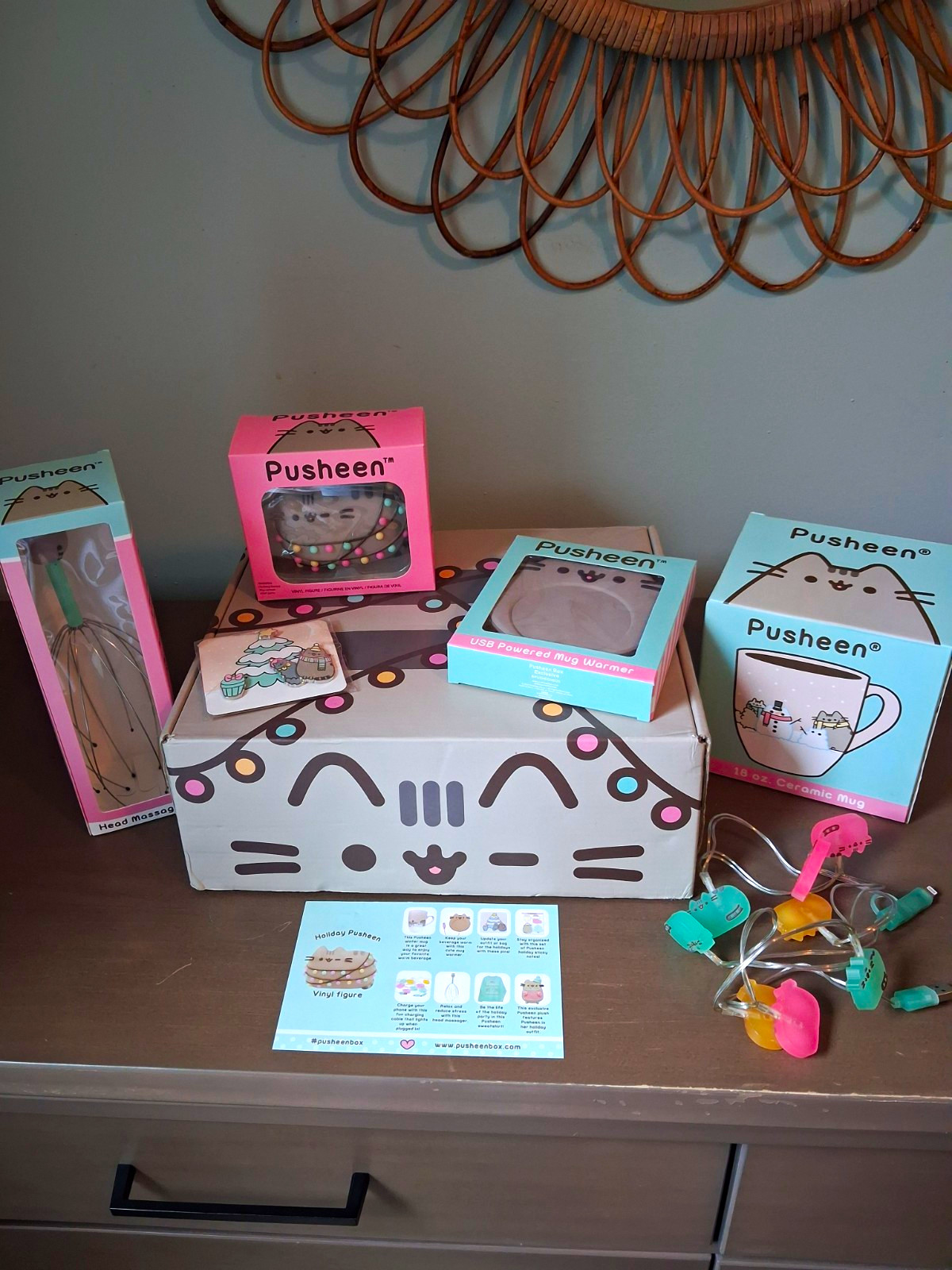 Winter 2017 Pusheen Box and Items Winter 2017 Pusheen Box and Items
