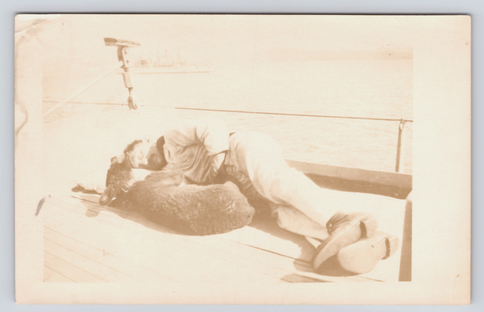 c1912 Sailor Napping with CUTE 🐾 Black Bear Cub on Ship Deck RPPC Mascot