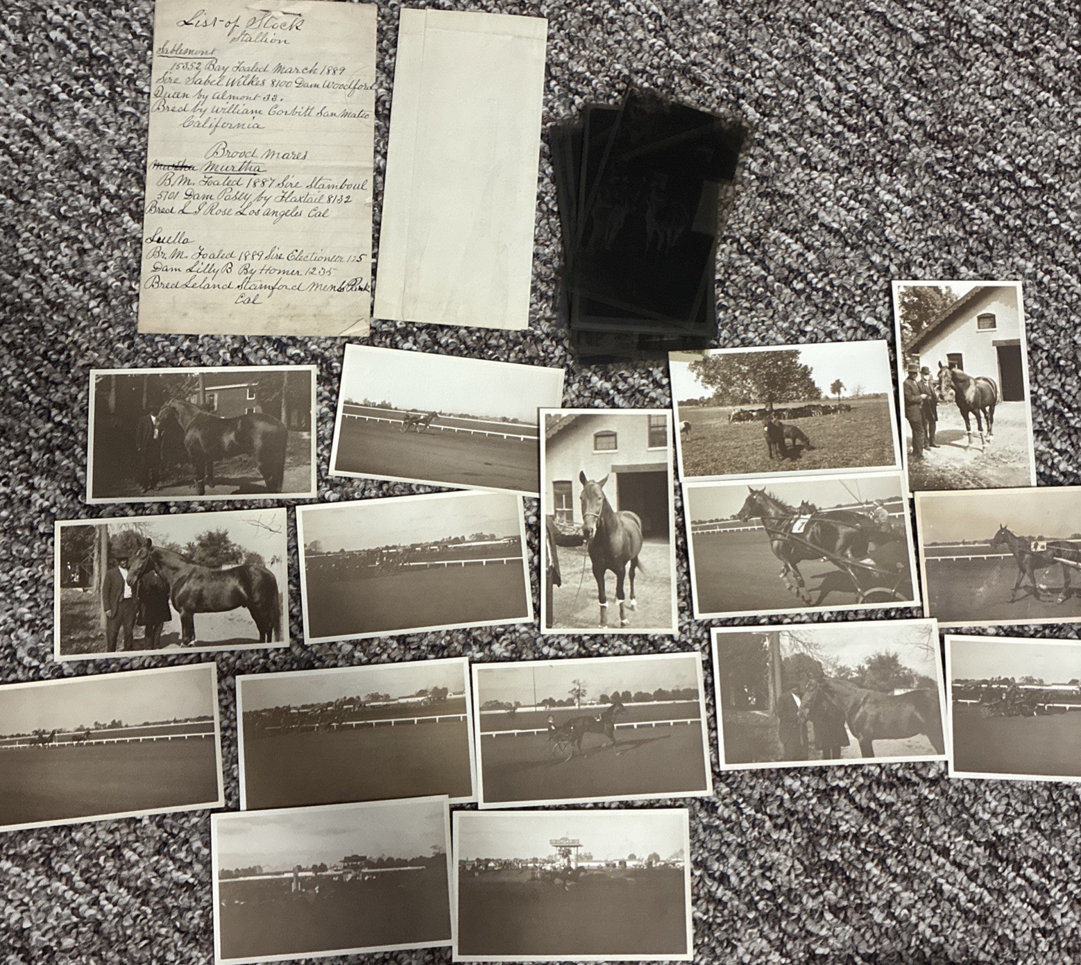 Lot Of 16 Sepia Horse Racing Photos W Negatives List Of Stallions 1900’s Harness