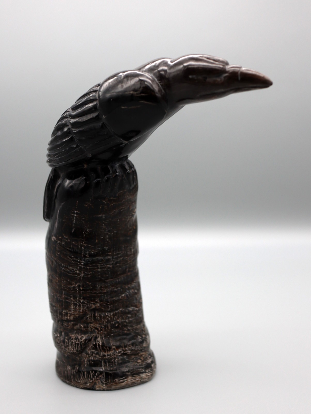 Brian Yatsattie Water Buffalo Horn Zuni Raven Fetish Brian Yatsattie Water Buffalo Horn Zuni Raven Fetish
