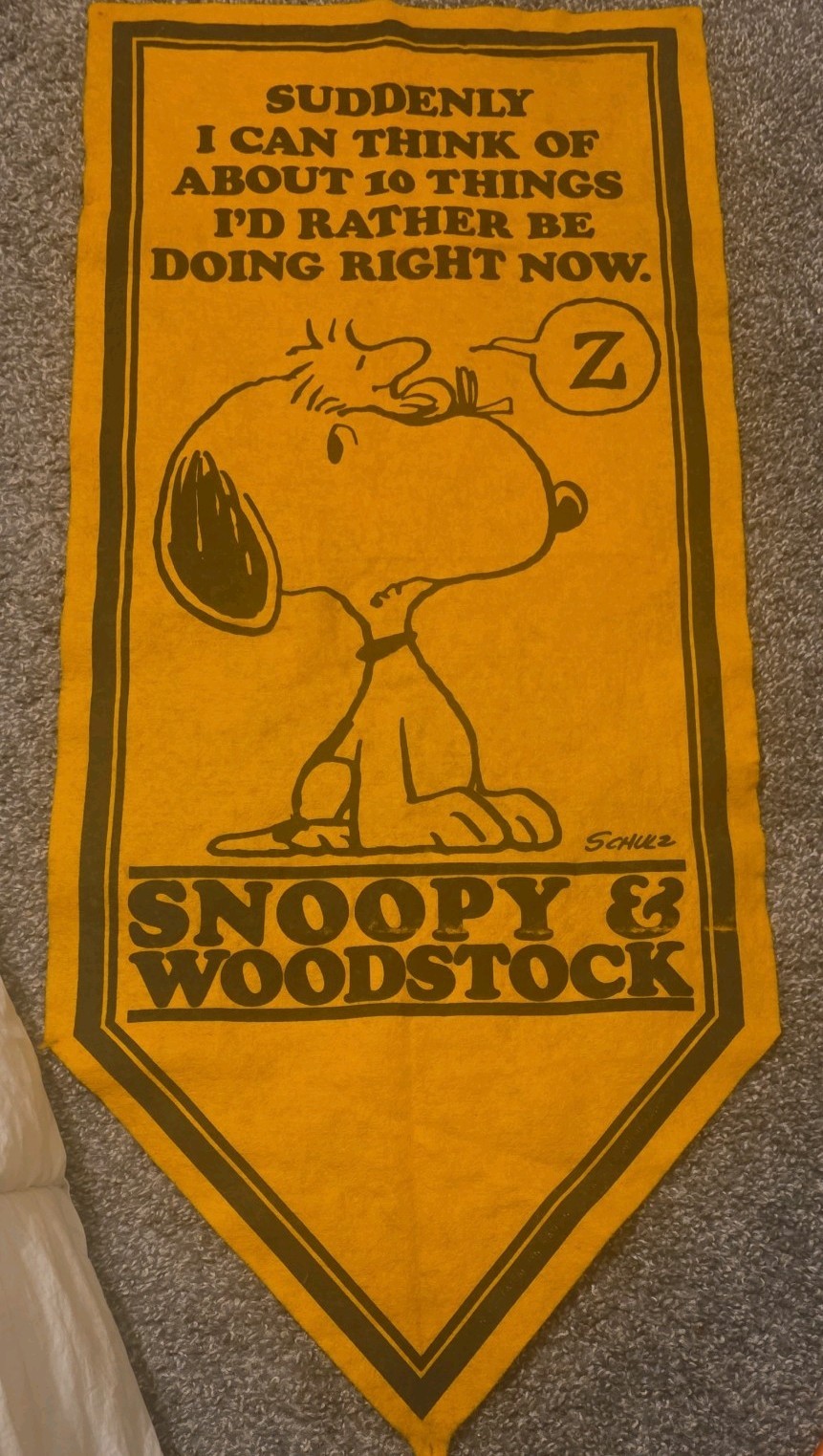 VTG 1971 Peanuts  Snoopy Woodstock 10 Things I'd Rather Be Doing Felt Banner
